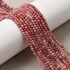 Natural Rhodonite Beads Strands G-G0005-B01-1