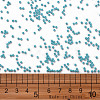 11/0 FGB Grade A Baking Paint Glass Seed Beads X-SEED-N001-A-1016-3