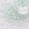 8/0 Opaque Glass Seed Beads SEED-S048-N-007-1