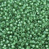 MIYUKI Round Rocailles Beads SEED-G007-RR0646-2