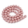 Electroplated Shell Pearl Beads Strands BSHE-G041-8mm-05-4