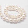 Shell Pearl Bead Strands X-BSHE-L026-03-14mm-2