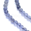 Natural Iolite Beads Strands G-I279-E08-3