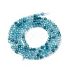 Transparent Glass Beads Strands GLAA-H027-01E-3