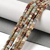 Natural Shoushan Stone Beads Strands G-H087-F01-01-2