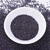 MIYUKI Delica Beads X-SEED-J020-DB0279-2