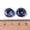 Natural Blue Spot Jasper European Beads G-N359-17A-07-3