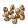 Natural Picture Jasper Cabochons G-Q173-02B-13-1