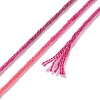 10 Skeins 6-Ply Polyester Embroidery Floss OCOR-K006-A56-3