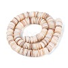 Natural Freshwater Shell Beads Strands SHEL-N037-03A-01-2