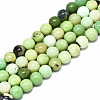 Natural Serpentine Beads Strands G-R485-11-6mm-1