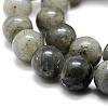Natural Labradorite Bead Strands G-P256-01-4mm-3