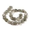 Natural Labradorite Beads Strands G-M403-C09-01-3