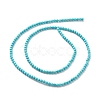 Natural Howlite Beads Strands TURQ-K005-01A-3