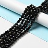 Natural Golden Sheen Obsidian Beads Strands G-P476-01C-04-2
