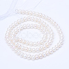 Natural Cultured Freshwater Pearl Beads Strands PEAR-R063-08-2