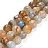 Natural Agate Beads Strands G-L595-A01-01F-2