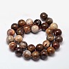 Natural Petrified Wood Round Bead Strands X-G-F266-08-12mm-2