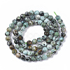 Natural African Turquoise(Jasper) Beads Strands G-S361-5mm-002-2