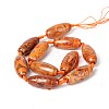 Tibetan Style 3-Eye dZi Beads Strands G-O058-01C-2