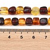 Two Tone Natural Amber Beads Strands G-K426-A03-04-5