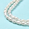 Natural Cultured Freshwater Pearl Beads Strands PEAR-E016-150-4