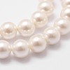 Shell Pearl Bead Strands X-BSHE-L026-03-8mm-5