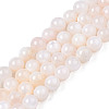 Natural Freshwater Shell Beads Strands X-BSHE-T009A-01B-1