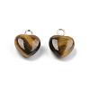 Natural Tiger Eye Charms G-T132-005A-3