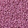 MIYUKI Round Rocailles Beads X-SEED-G007-RR0645-3