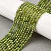 Natural Canadian Jade Beads Strands G-G259-D02-3mm-1