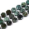 Natural African Turquoise(Jasper) Beads Strands G-P534-A26-01-4