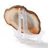 Printed Natural Agate Slice Stone Ornament DJEW-M011-02E-3