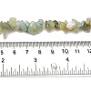 Natural Flower Amazonite Chips Beads Strands X-G-M205-12-01-5