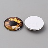 Glass Cabochons GLAA-WH0033-75G-07-2