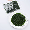 Transparent Glass Bugle Beads SEED-N005-001-C05-2