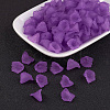 Transparent Acrylic Beads PL622-C17-1