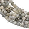 Natural Labradorite Beads Strands G-P611-C26-01-4