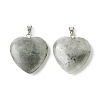 Natural Labradorite Pendants G-G956-B45-FF-2