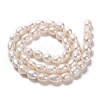 Natural Cultured Freshwater Pearl Beads Strands PEAR-L033-74-3