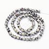 Natural Dalmatian Jasper Beads Strands GSR4mmC004-3