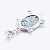 Abalone Shell/Paua ShellJewelry Sets SJEW-P089-02-3