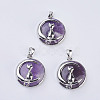 Natural Amethyst Flat Round Pendants G-K234-D09-1