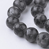 Natural Black Larvikite Bead Strands G-G735-57-12mm-3