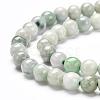 Natural Jadeite Beads Strands G-L568-001D-2