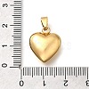 304 Stainless Steel Pendants STAS-H200-01G-13-3
