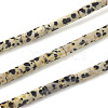 Natural Dalmatian Jasper Beads Strands X-G-F247-21-1