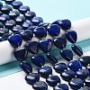 Natural Lapis Lazuli Beads Strands G-E614-A05-01-1
