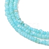 Natural Freshwater Shell Beads Strands SHEL-P017-01A-03-3