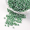 12/0 Opaque Colours Seep Glass Beads SEED-M008-C04-1